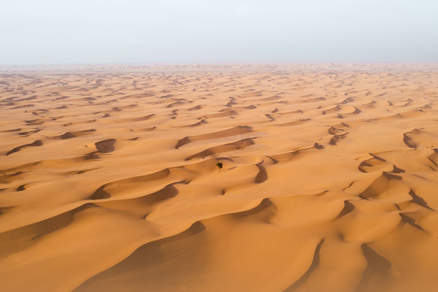 Sweeping dunes in the UAE desert